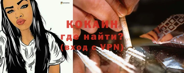 дживик Арсеньев