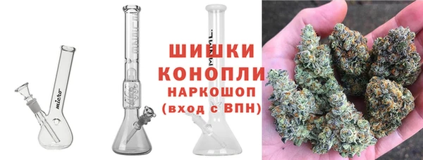 дживик Арсеньев
