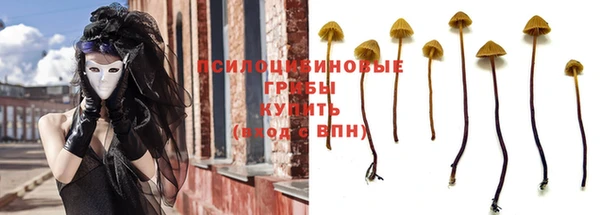 дживик Арсеньев